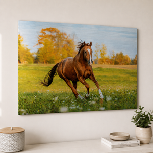 La Présence tirage photo de cheval en noir et blanc sur aluminium brossé 90x60 grand format, fabriqué en Savoie